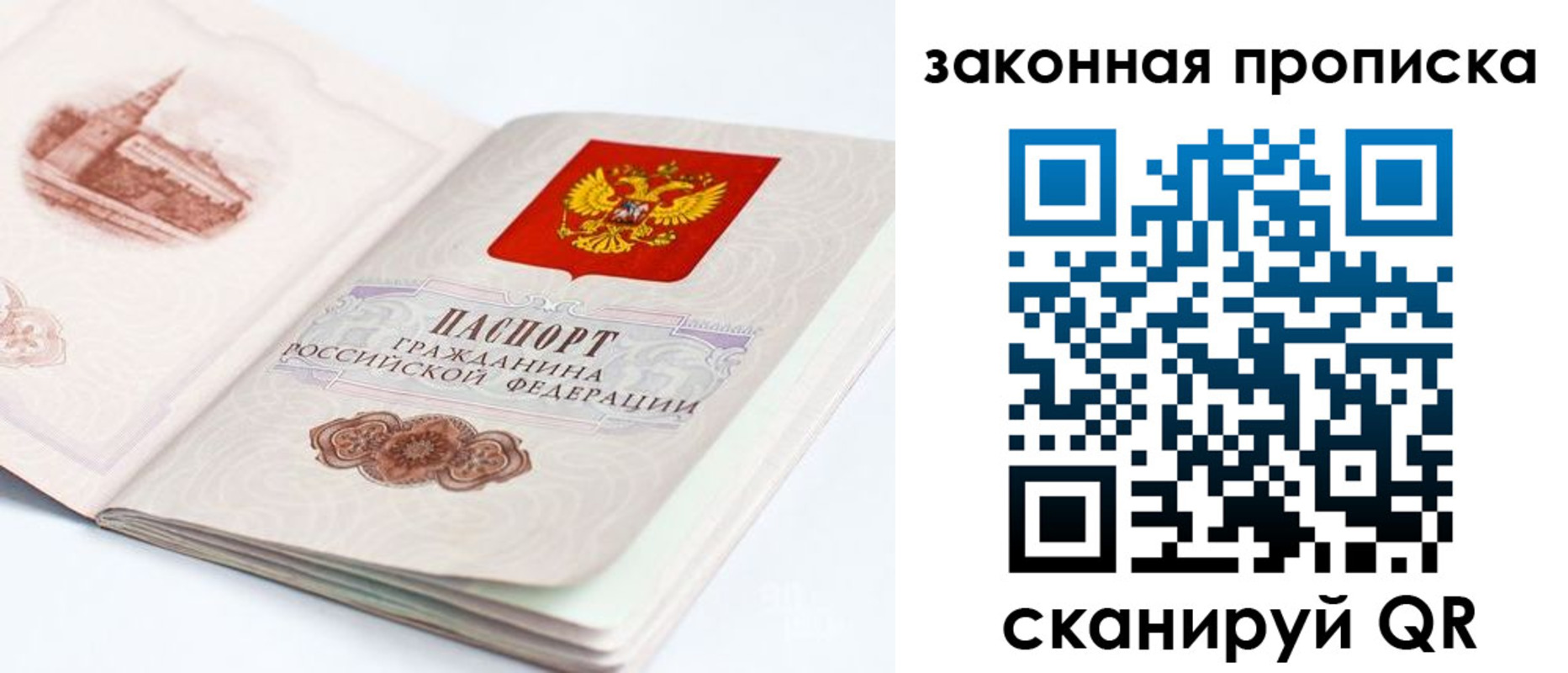 временная регистрация гарантия в Елизово